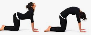3 Stretches to Alleviate Sciatic Nerve Pain