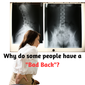 Why Do Some People Have a “Bad Back”?