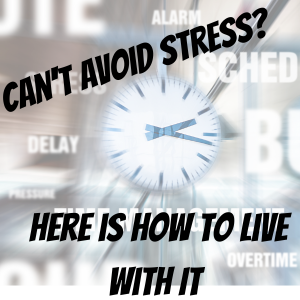 Can’t Avoid Stress? Here is How to Live With It